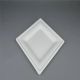 bagasse Square Plate 10