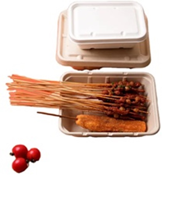 Bagasse Food Container